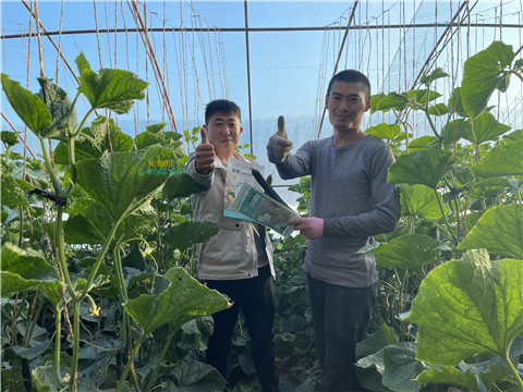 水溶肥，翠姆，拉姆拉