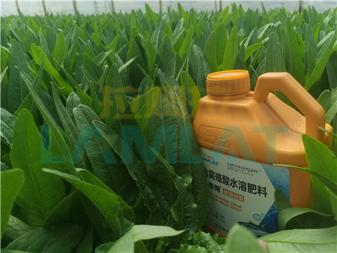 水溶肥，翠姆，拉姆拉
