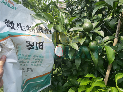 微生物菌劑，翠姆，拉姆拉