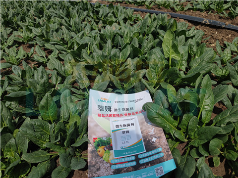 水溶肥，翠姆，拉姆拉