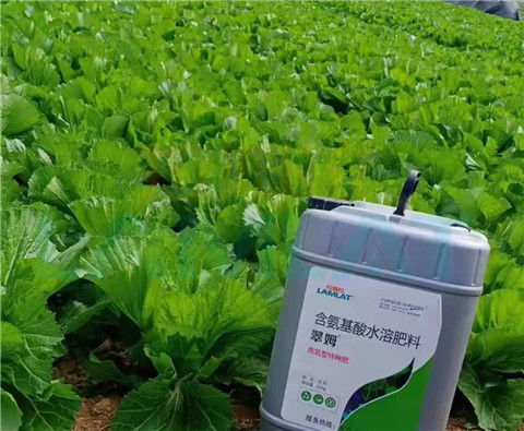 水溶肥，翠姆，拉姆拉