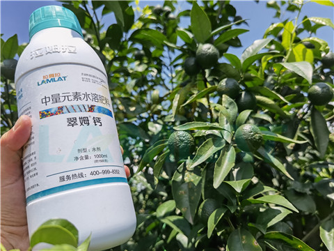 水溶肥，拉姆拉，翠姆