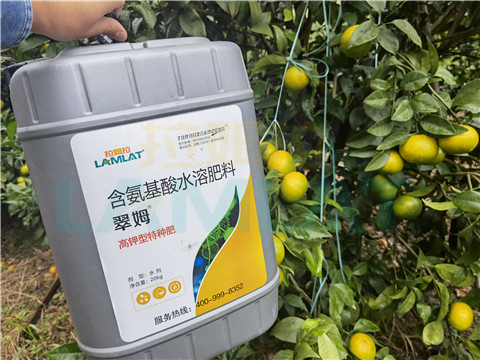 水溶肥，拉姆拉，翠姆