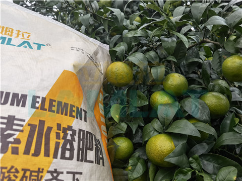 水溶肥，拉姆拉，翠姆