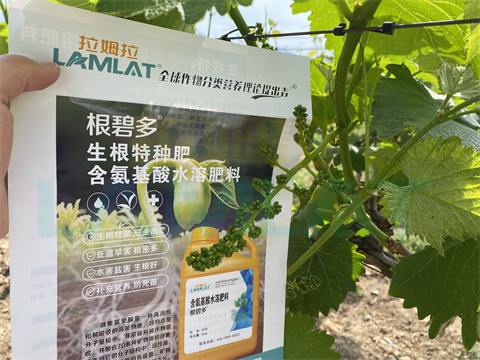 水溶肥，拉姆拉，翠姆