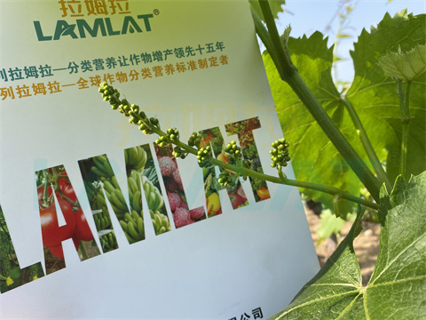 水溶肥，拉姆拉，翠姆