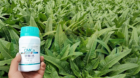 水溶肥，拉姆拉，翠姆