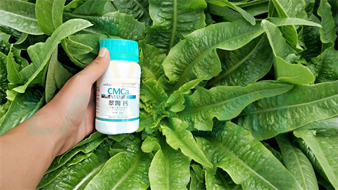 水溶肥，拉姆拉，翠姆