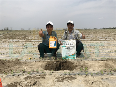 水溶肥，拉姆拉，翠姆