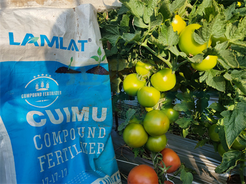 水溶肥，拉姆拉，翠姆