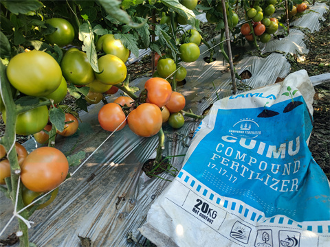 水溶肥，拉姆拉，翠姆