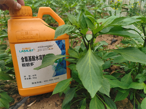水溶肥，翠姆，拉姆拉