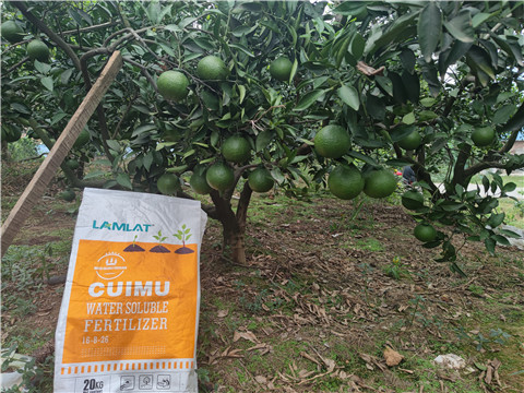 水溶肥,翠姆,柑橘水溶肥 水溶肥,翠姆,柑橘水溶肥