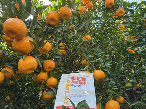 水溶肥廠家,翠姆,拉姆拉 水溶肥廠家,翠姆,拉姆拉