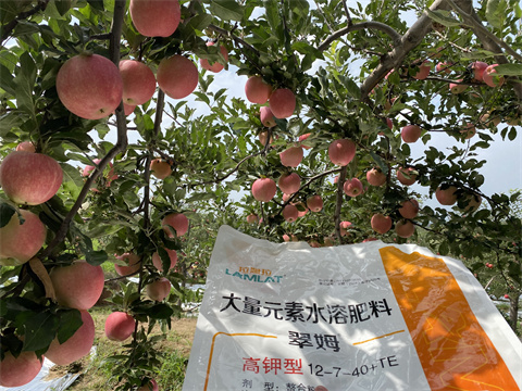 水溶肥,翠姆,蘋(píng)果種植