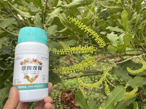 進(jìn)口水溶肥,堅(jiān)果種植,翠姆水溶肥