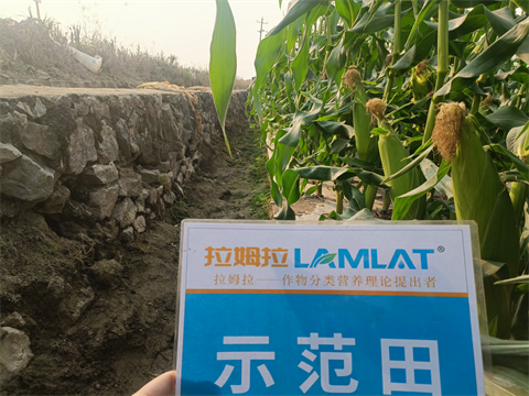 水溶肥廠家,拉姆拉水溶肥,拉姆拉滴灌級(jí)特種肥