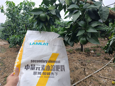 水溶肥品牌,柑橘種植,拉姆拉滴灌級(jí)特種肥