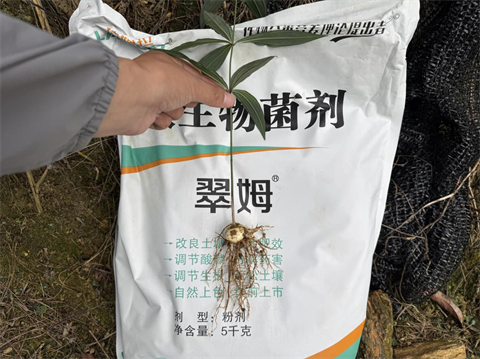 水溶肥品牌,黃精種植,拉姆拉滴灌級(jí)特種肥