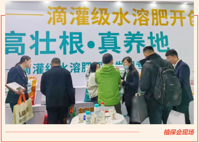 全國植保會(huì),水溶肥廠家,拉姆拉滴灌級特種肥