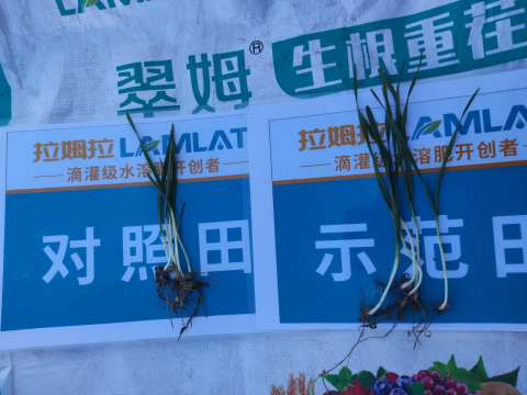 水溶肥廠家,大田種植,拉姆拉滴灌級(jí)特種肥