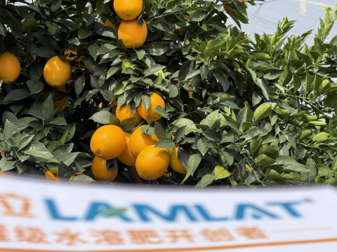 水溶肥,臍橙種植,拉姆拉滴灌級(jí)特種肥