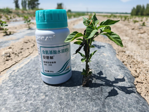 辣椒施肥,拉姆拉滴灌級(jí)特種肥,水溶肥