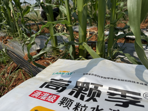 微生物菌劑,拉姆拉高顆季,水溶肥